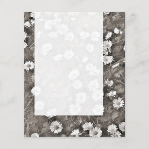 Flyer Panel 036 - El Antiguo Daisies