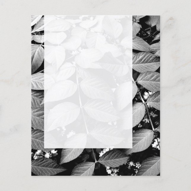 Flyer Panel 037 - Saltos (Frente)