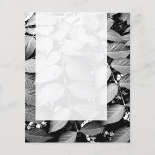 Flyer Panel 037 - Saltos