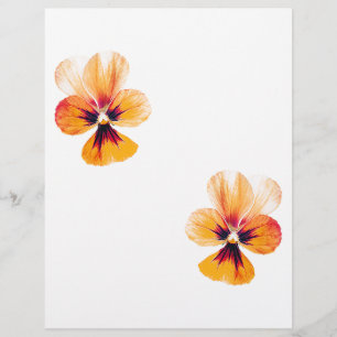 Flyer Pansies naranjas