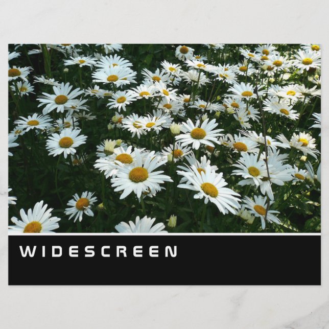 Flyer Pantalla ancha - Shasta Daisies (Frente)
