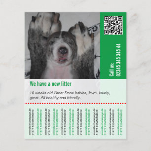 Flyer Para vender cachorros