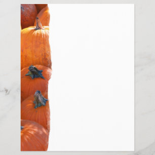 Flyer Parche de calabaza