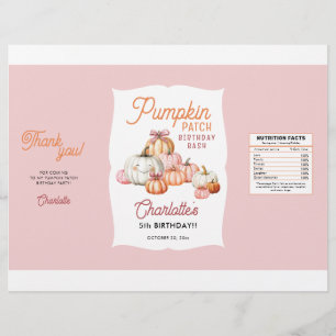 Flyer Parche de calabaza chica Amortiguador de bolsa de 