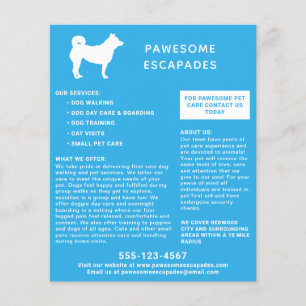 Flyer Paseador de Perro y Mascota Sitter Verde azulado