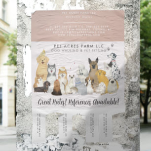 Flyer Paseador de Perros Cuidado de Mascotas Negocio Acu