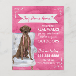 Flyer Paseo de caminante de perro rosado con nadadores y