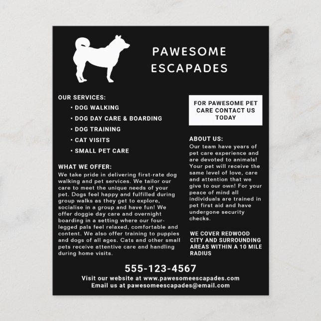 Flyer Paseo de Perro y Mascota Sitter Negro (Frente)