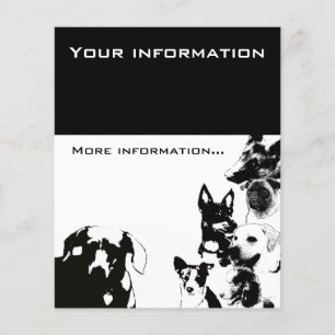 Flyer Paseo de perros