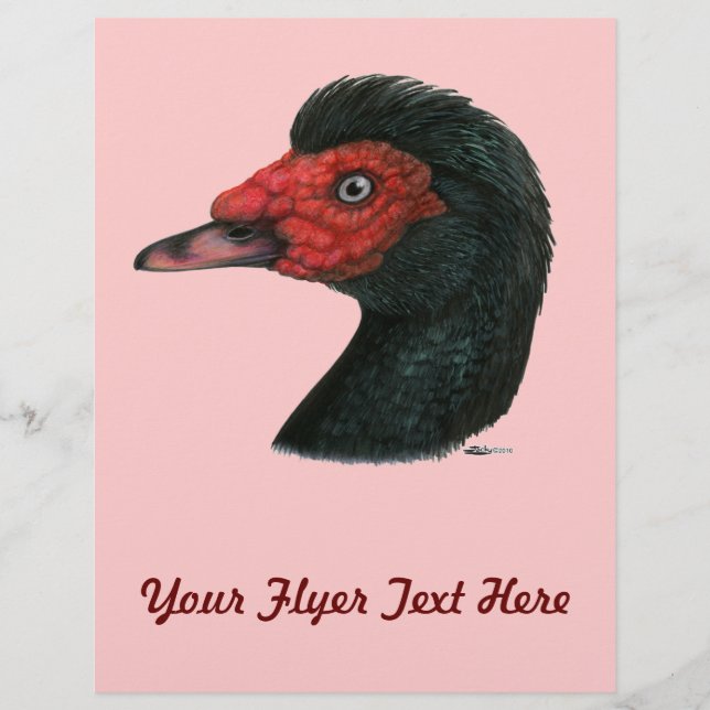 Flyer Pato: Cabeza Muscovy (Frente)