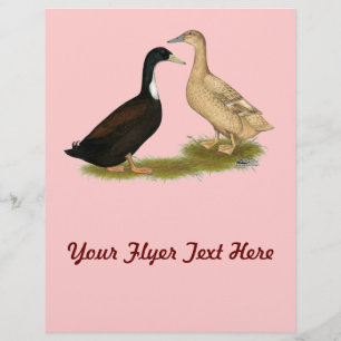 Flyer Pato lentador híbrido