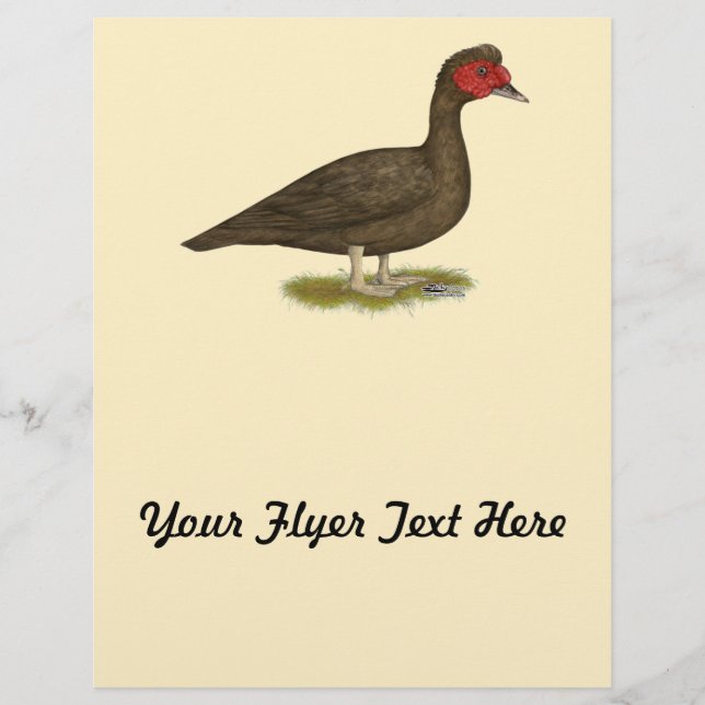 Flyer Pato Muscovy Chocolate (Frente)