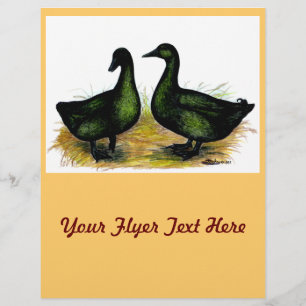 Flyer Patos: Cayuga Pair