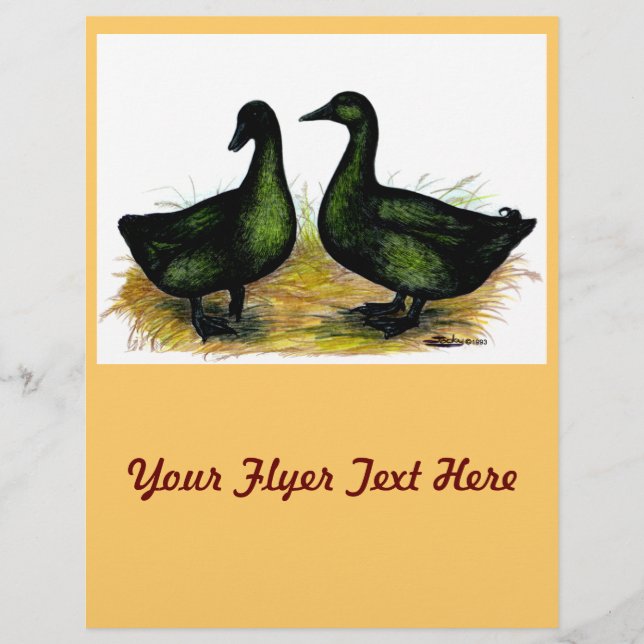 Flyer Patos: Cayuga Pair (Frente)