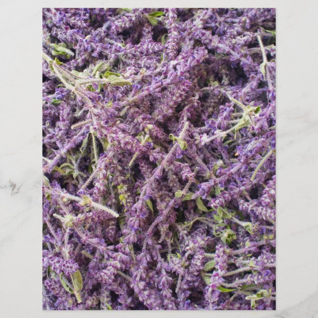 Flyer Patrón de flores de lavanda (Frente)