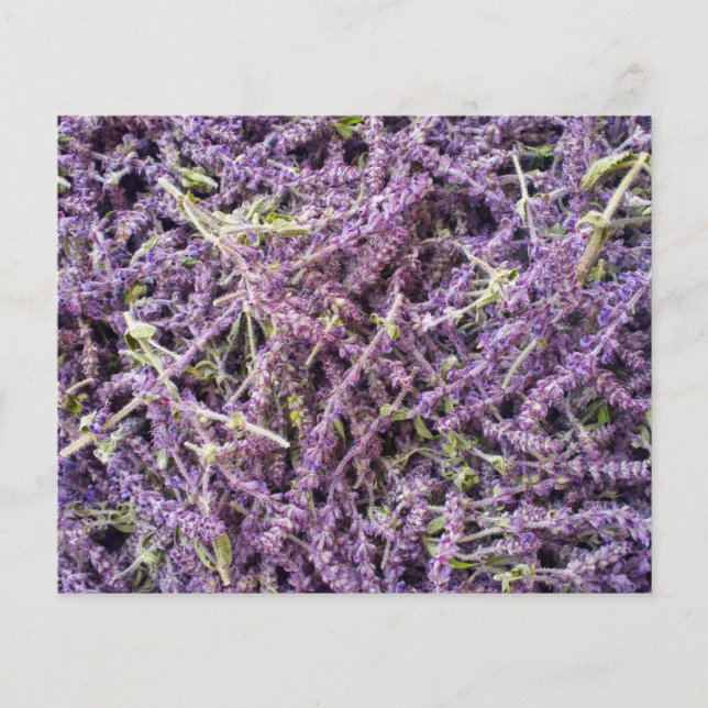 Flyer Patrón de flores de lavanda (Frente)