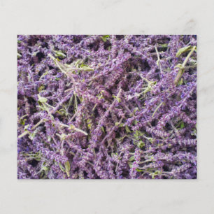 Flyer Patrón de flores de lavanda