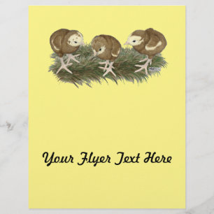 Flyer Pavos de chocolate turcos