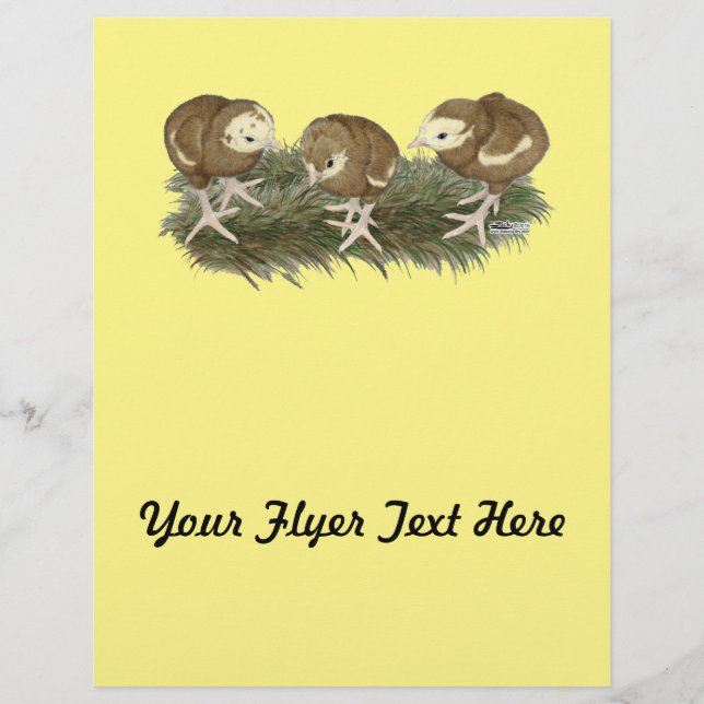 Flyer Pavos de chocolate turcos (Frente)