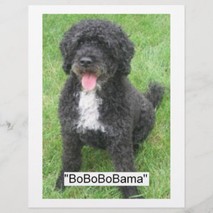 Flyer Perro acuático portugués Barack Obama