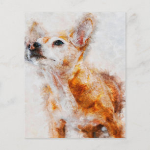 Flyer Perro Chihuahua retrato_Perro amante