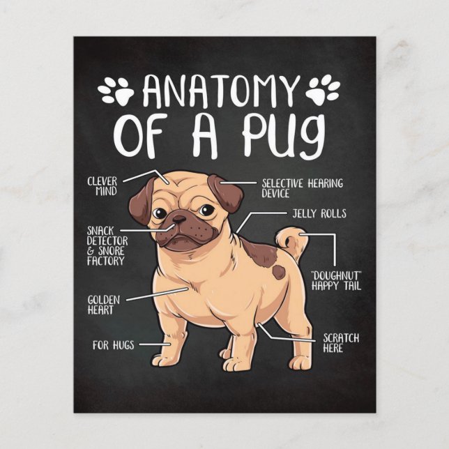 Flyer perro de pug (Frente)