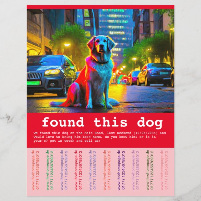 Flyer Perro encontrado (Frente)