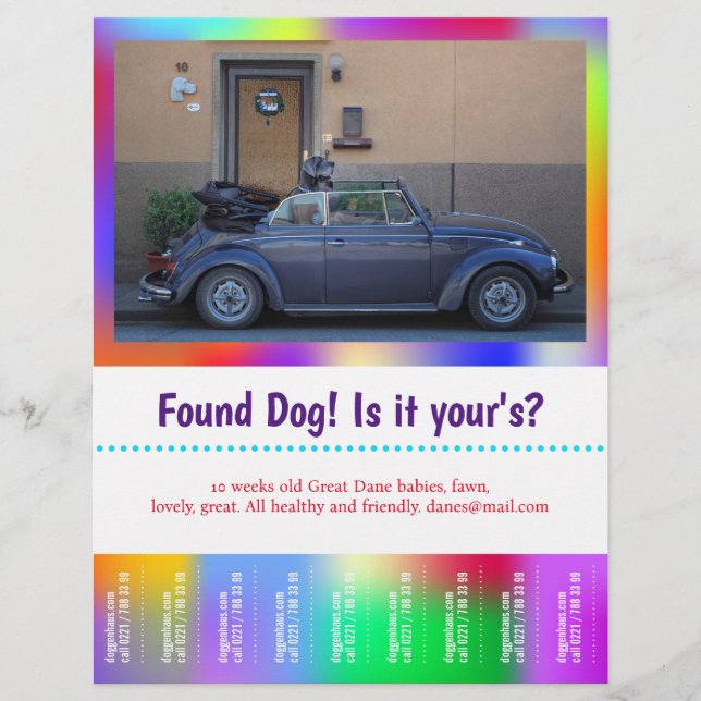 Flyer Perro Encontrado Arranca colorido (Frente)