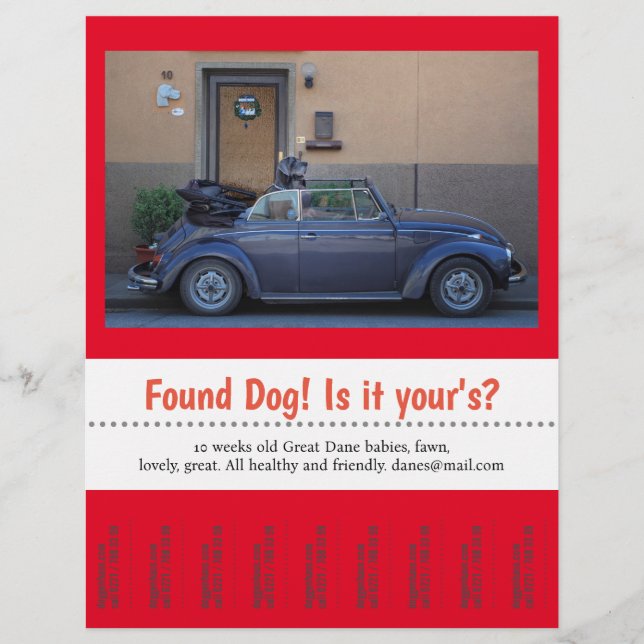Flyer Perro Encontrado Desgarrar  (Frente)