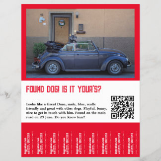 Flyer Perro Encontrado Desgarrar 
