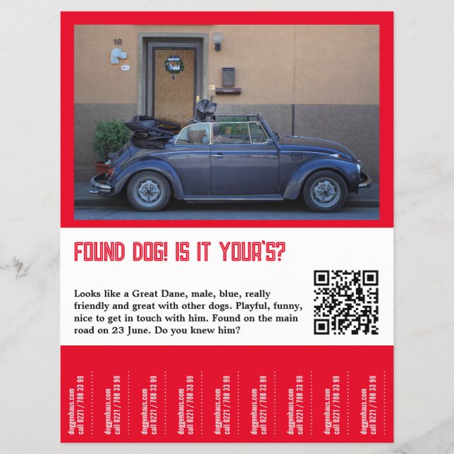 Flyer Perro Encontrado Desgarrar  (Frente)