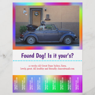 Flyer Perro encontrado despegable colorido 