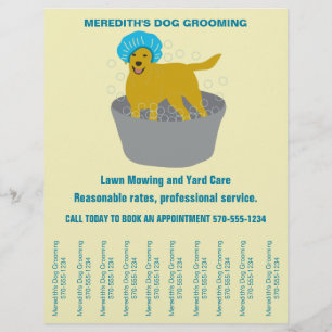Flyer Perro Grooming Empresarios Perros Groing Tear Titi