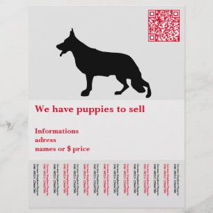 Flyer Perro pastor minimal personalizado