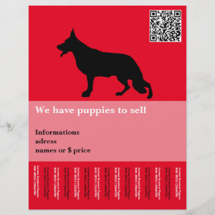 Flyer Perro pastor mínimo personalizado