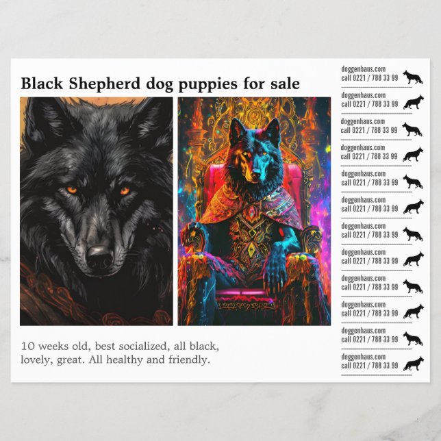 Flyer Perro pastor negro (Frente)