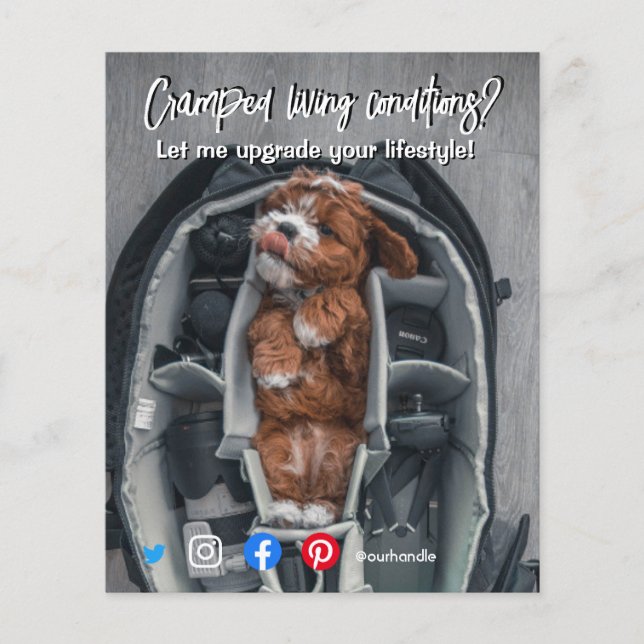 Flyer perro viviente de posta inmobiliario divertido (Frente)