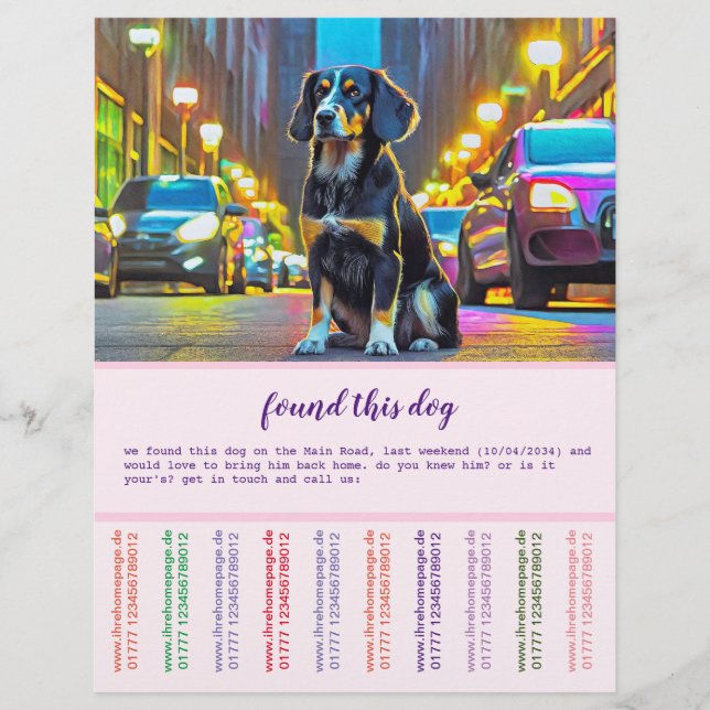 Flyer Perro y gato (Frente)