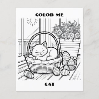 Flyer Personalizado De Páginas De Colores De Cat In Bask