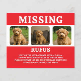 Flyer Personalizado para Mascota o Persona Desaparecida