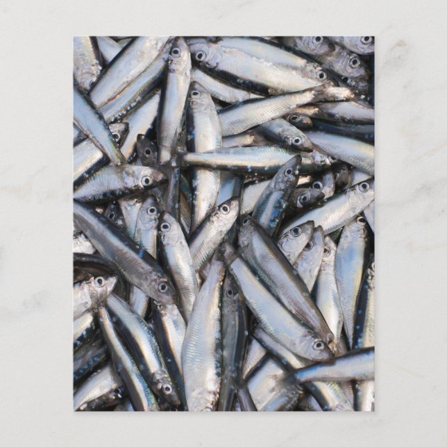 Flyer Pesca fresca - ingredientes de comida. (Frente)