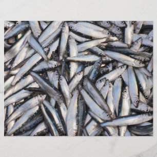 Flyer Pesca fresca - ingredientes de comida.