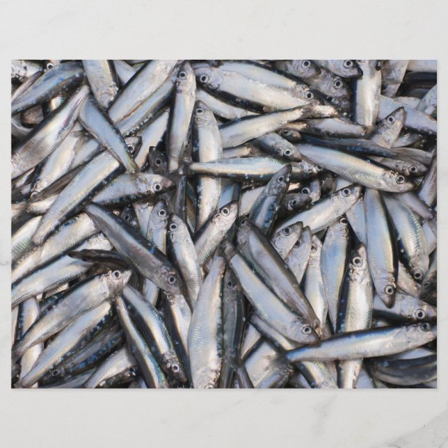 Flyer Pesca fresca - ingredientes de comida. (Frente)