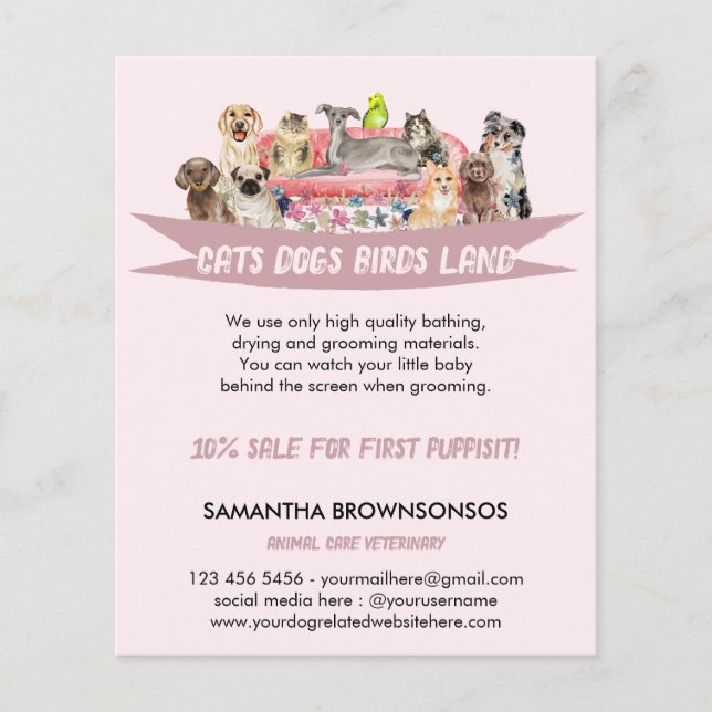 Flyer Pet Sitting Services | Dog Cat Bird | Pink Sofa (Frente)