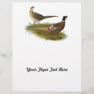 Flyer Pheasant: Pareja Ringneck
