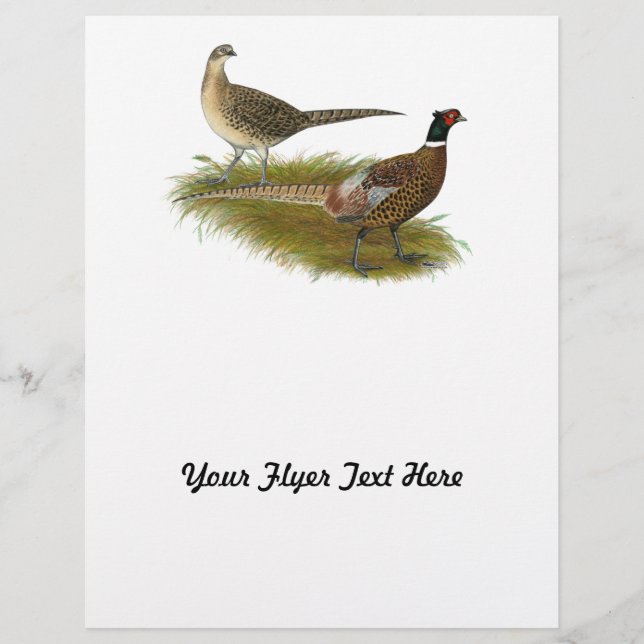 Flyer Pheasant: Pareja Ringneck (Frente)