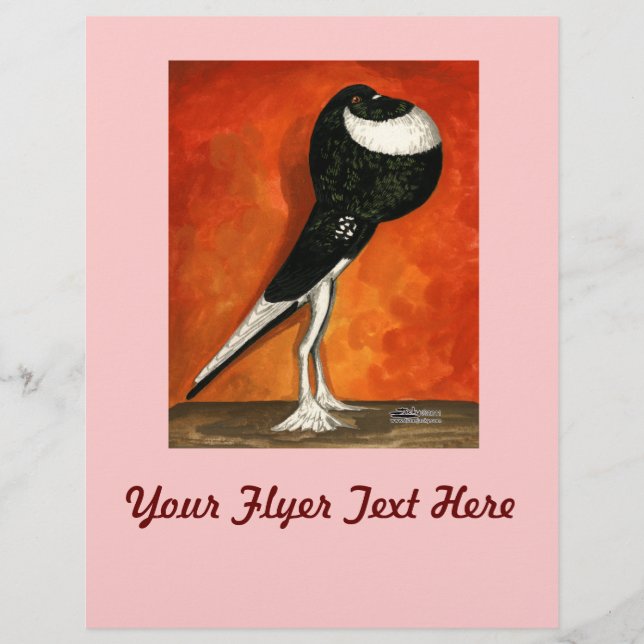 Flyer Pigmy Pouter Pigeon Black Pie (Frente)