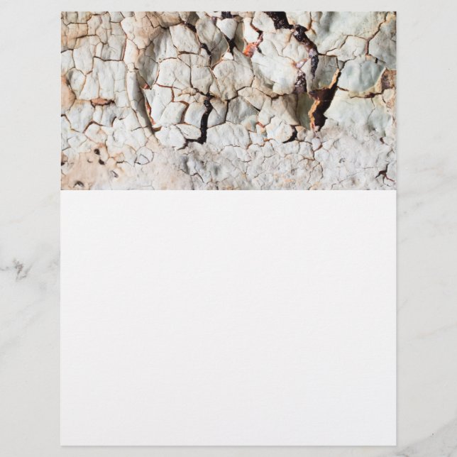 Flyer Pintada fallida (Frente)