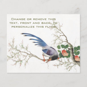 Flyer Pintura de pájaro china