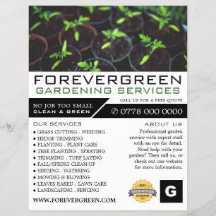 Flyer Plantas de tomate, Servicio de jardinería, Horticu